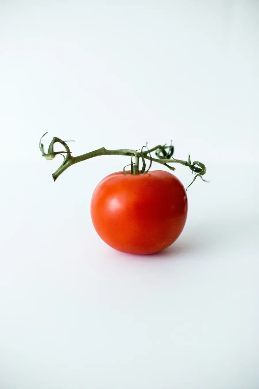 A single vine tomato on a clean background